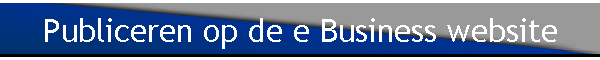 Publiceren op de e Business website