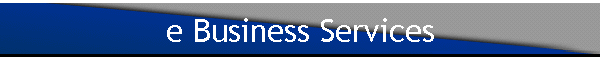 e Business Services